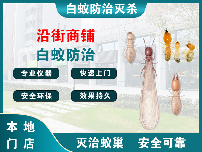 靖江市沿街商铺白蚁防治