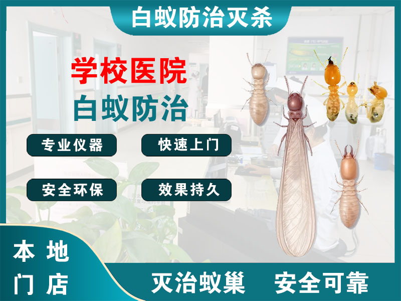 靖江市学校医院白蚁防治