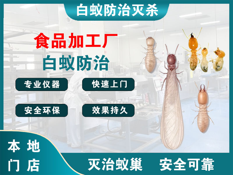 靖江市食品加工厂白蚁防治