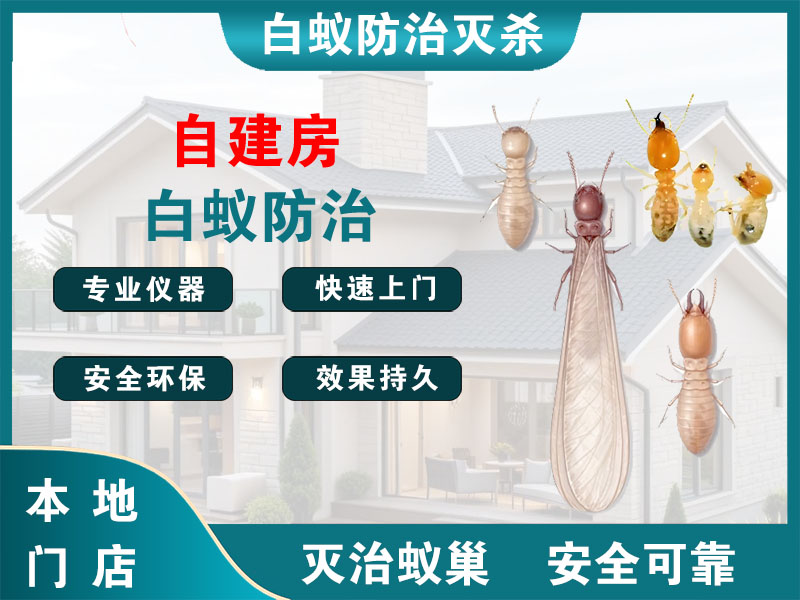 靖江市自建房白蚁防治