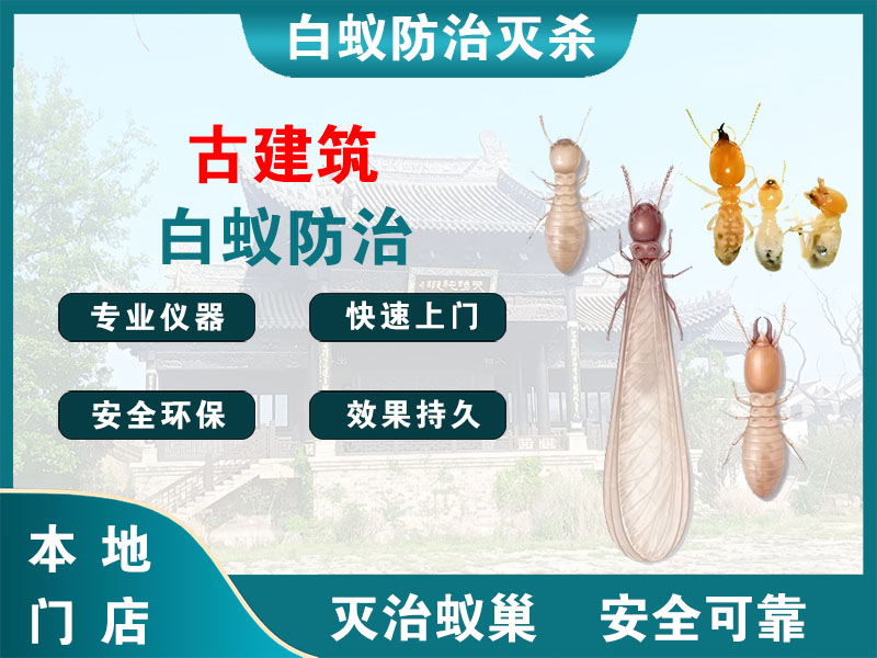 靖江市古建筑白蚁防治