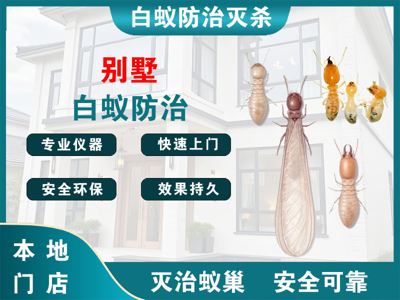 靖江市别墅白蚁防治