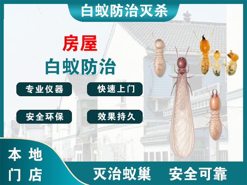 靖江市房屋白蚁防治